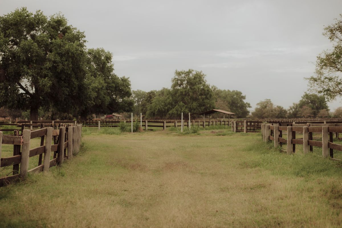Fence installation in Campbell